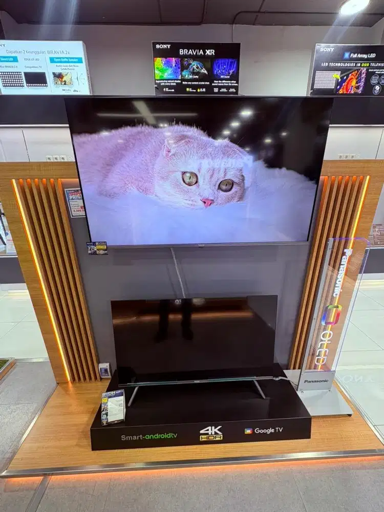Google TV panasonic 50 inc