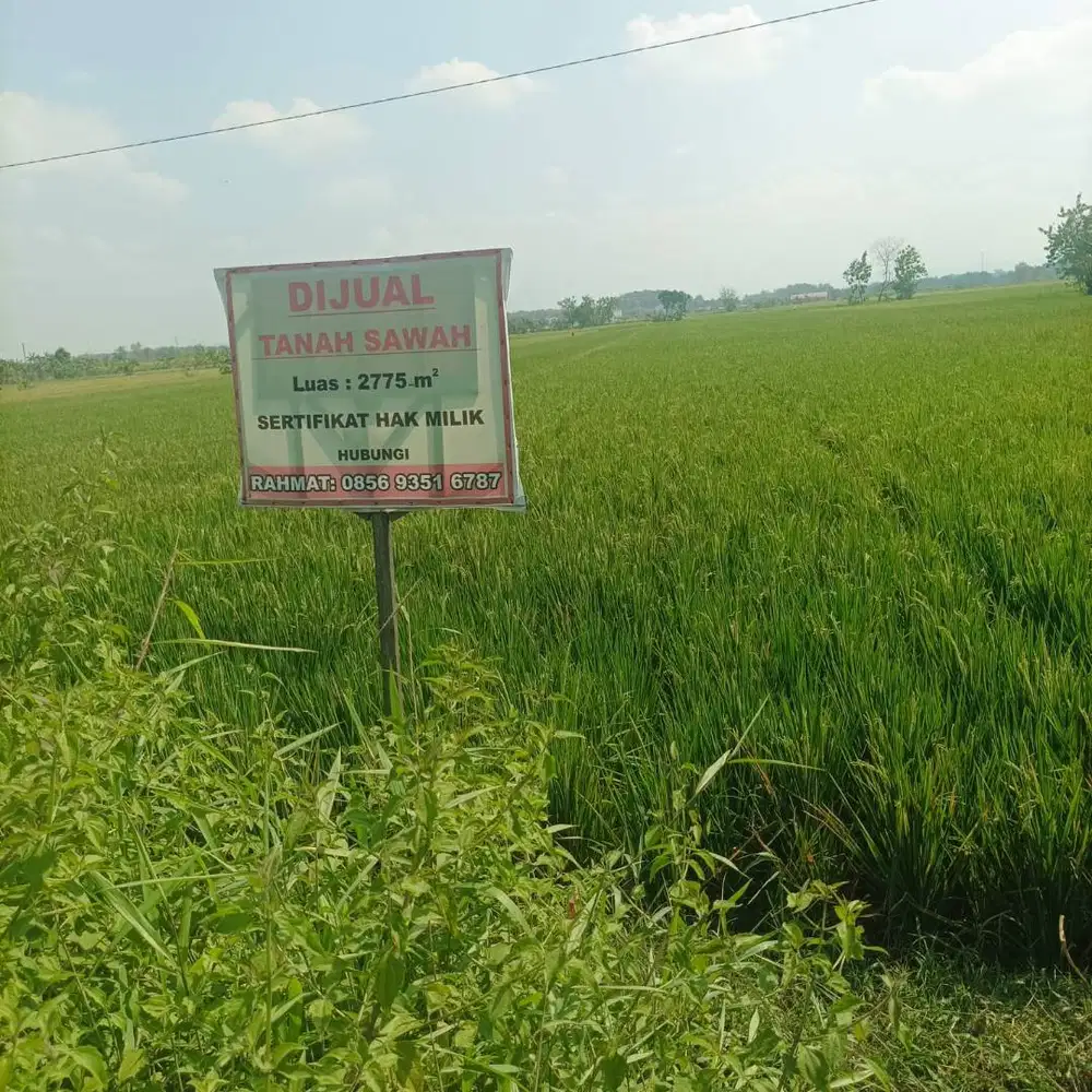 DIJUAL TANAH SERTIFIKAT HAK MILIK DAERAH NOGOSARI MURAH !!!