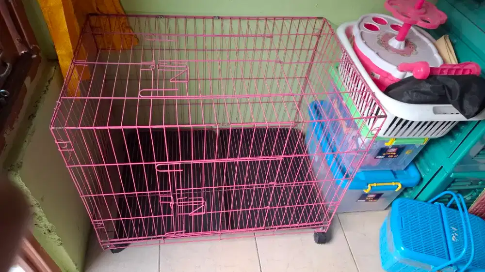 Kandang Kucing Besar