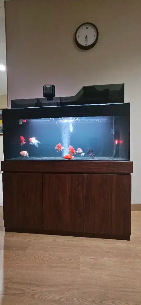 AKUARIUM IKAN DAN KABINET