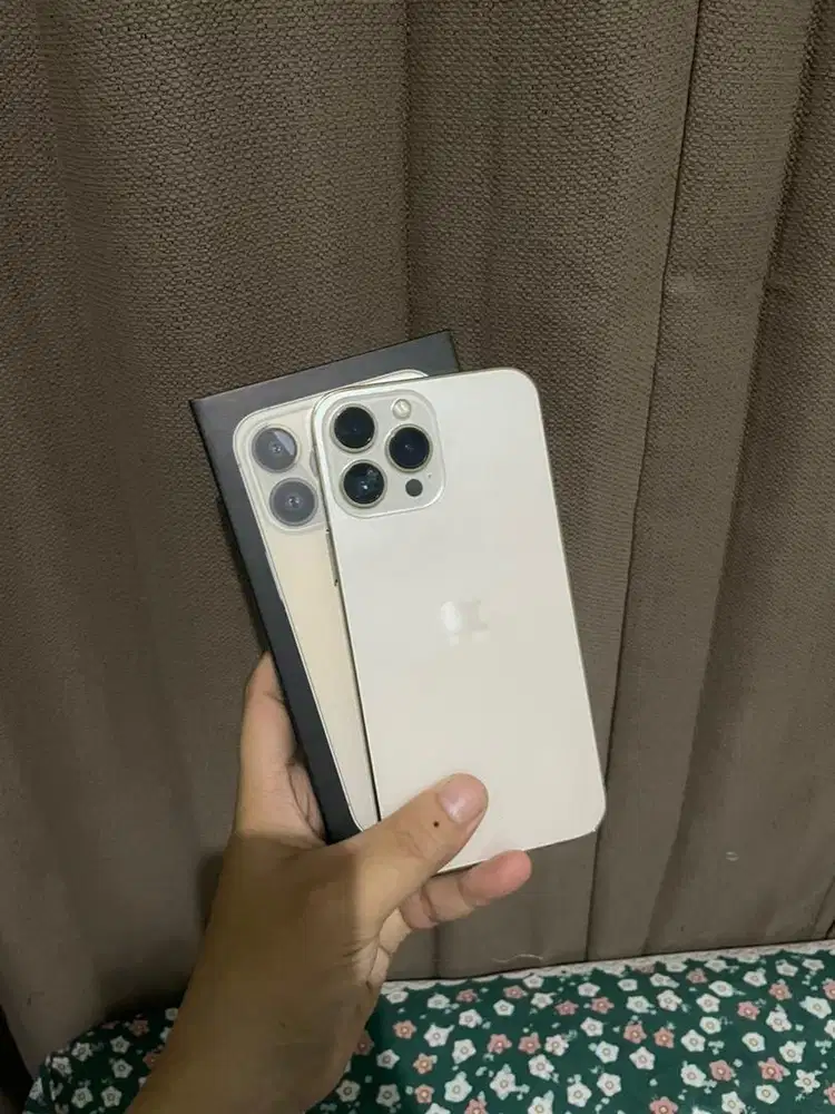 Iphone 13 pro max 512gb