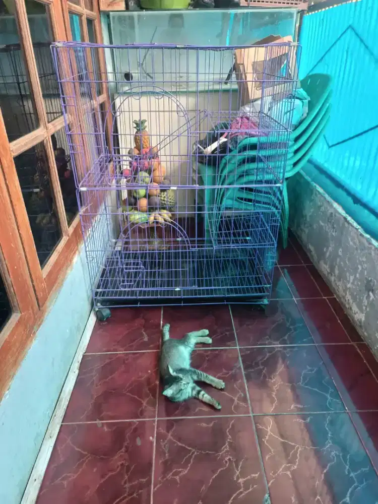 Kandang kucing, dll 3 lantai ada roda