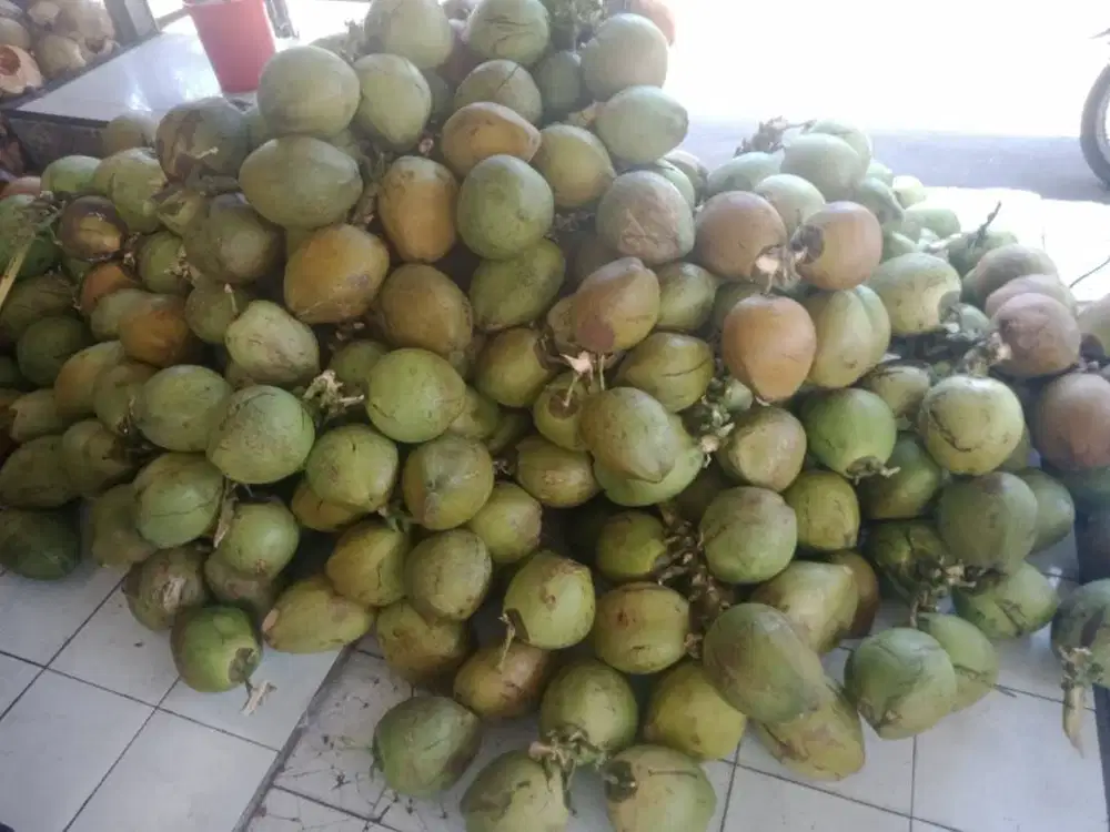 Lowongan di minuman kelapa