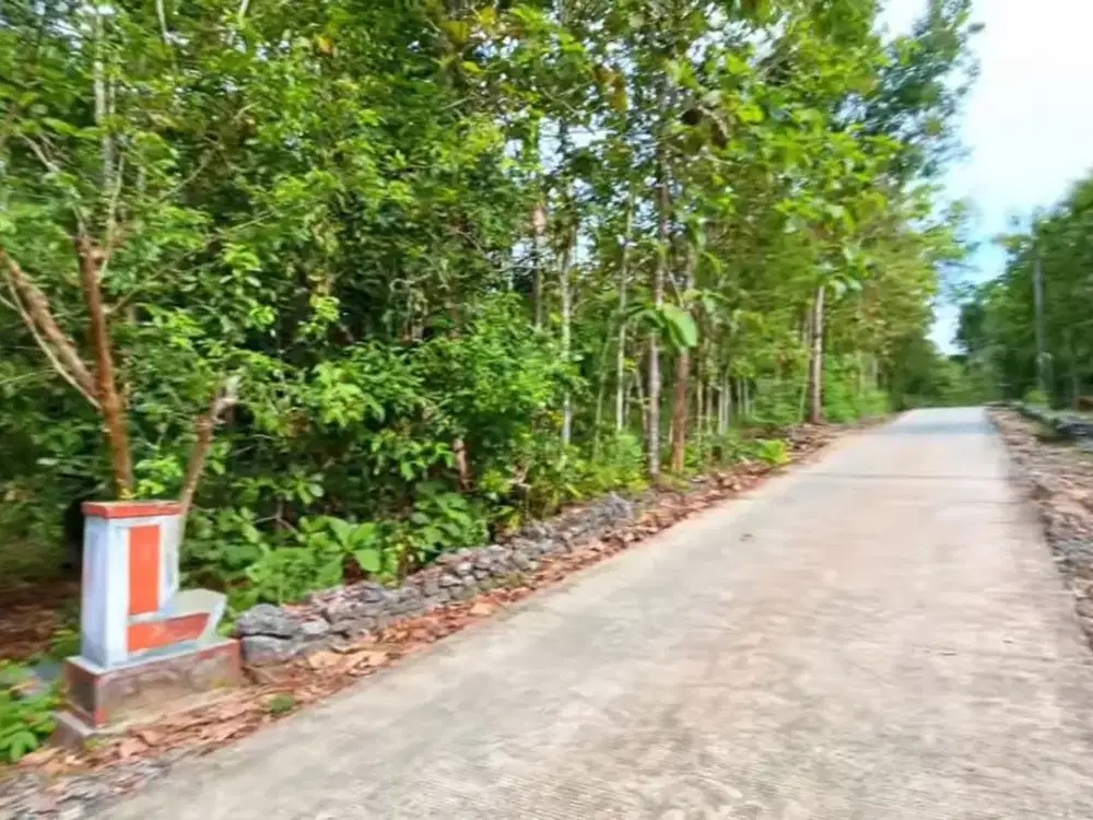 Tanah SHM Pekarangan