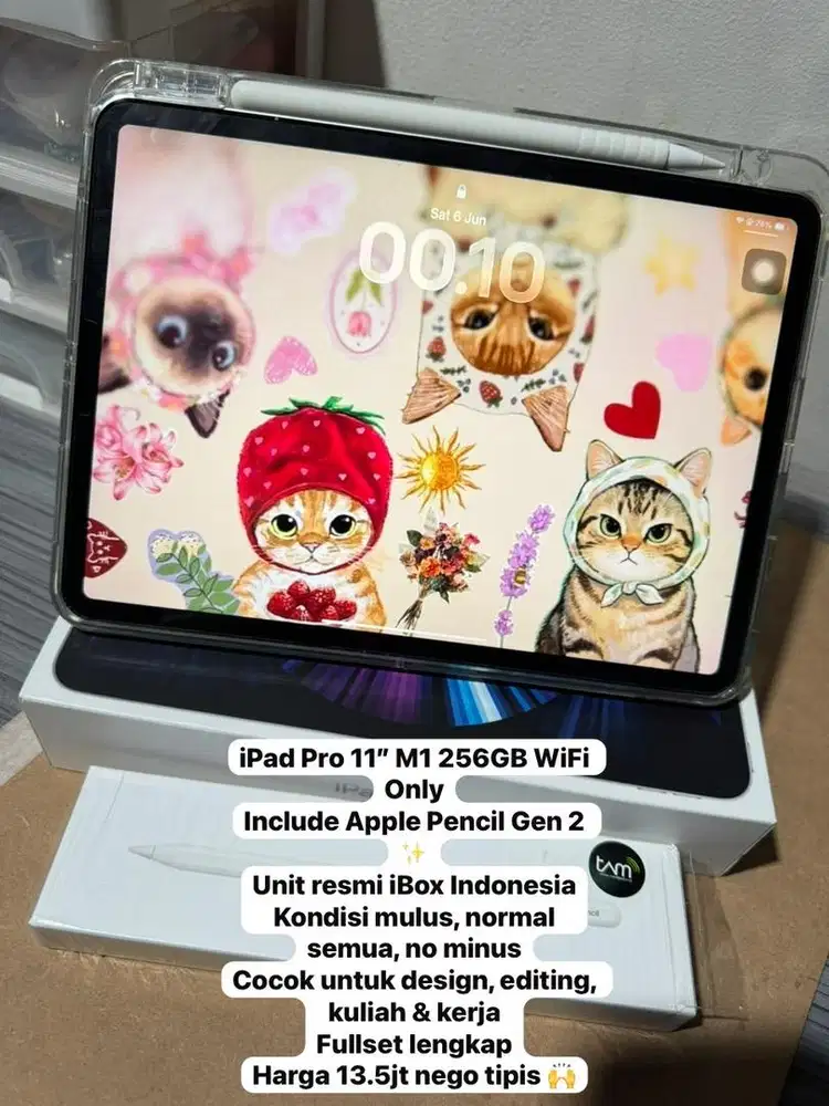 IPAD PRO (11 inch) Gen3 / Wifi only / 256GB / IBOXX