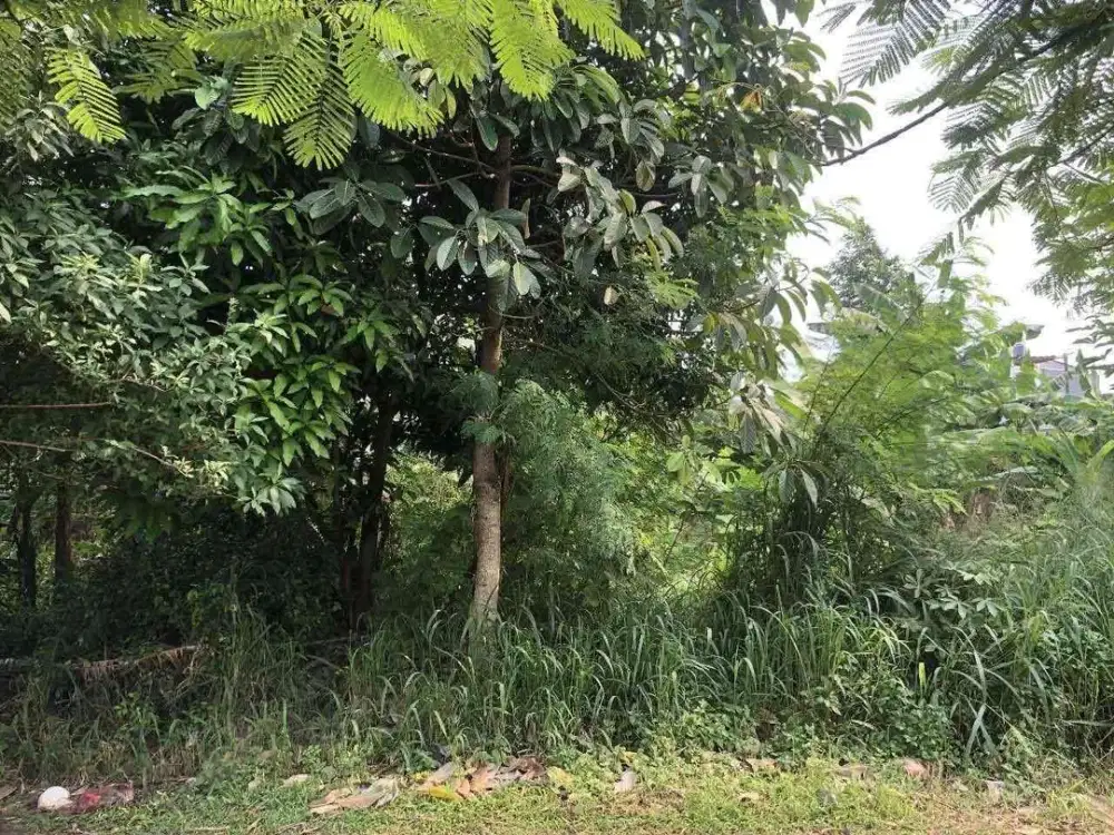 Dijual Kavling Murah Lokasi Dekat Bintaro BSD