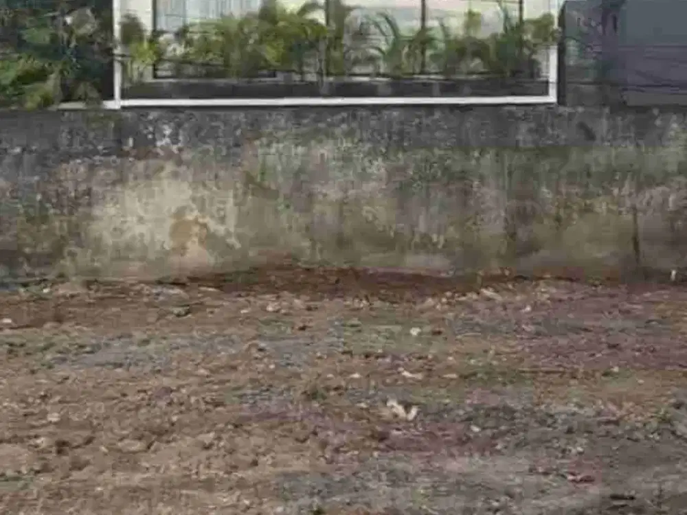 Tanah Strategis Canggu Dekat Pantai dan Beach Club - Thumbnail 8