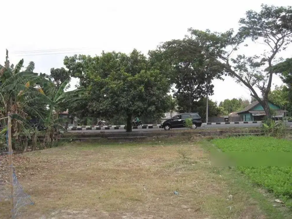 Jual Kavling Pinggir Jalan Raya Ringroad Singosaren Yogyakarta
