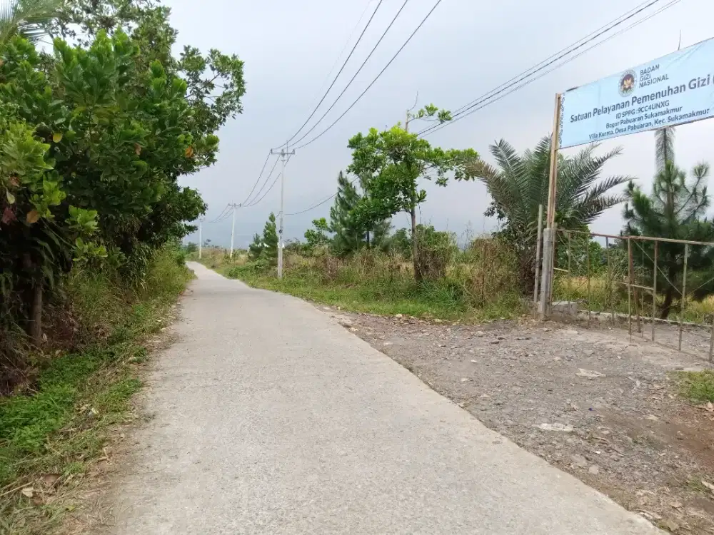 Jual tanah kebun durian murah Bogor