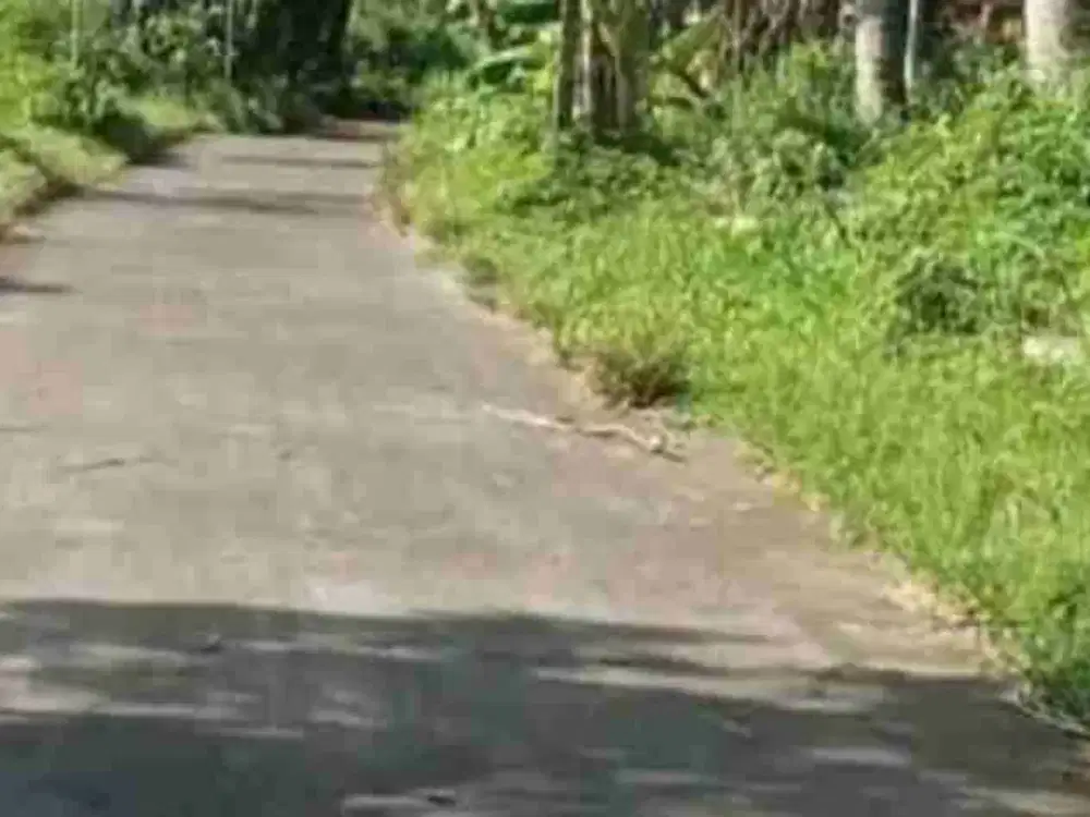 jual lahan kebun di umbulmartani Ngemplak sleman
