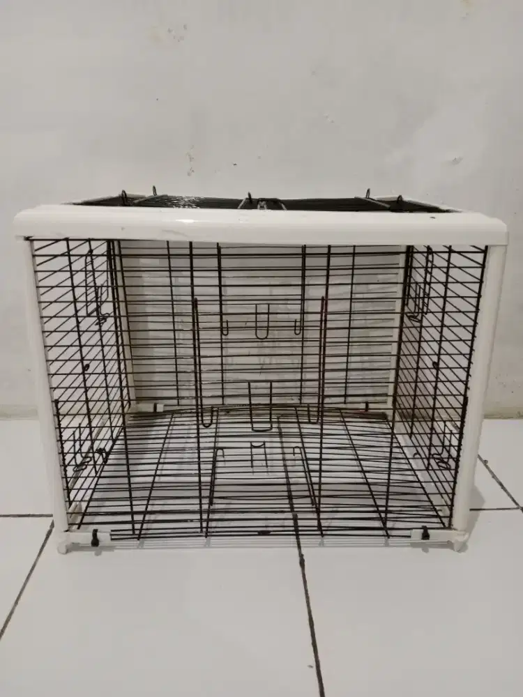 Kandang kucing/musang