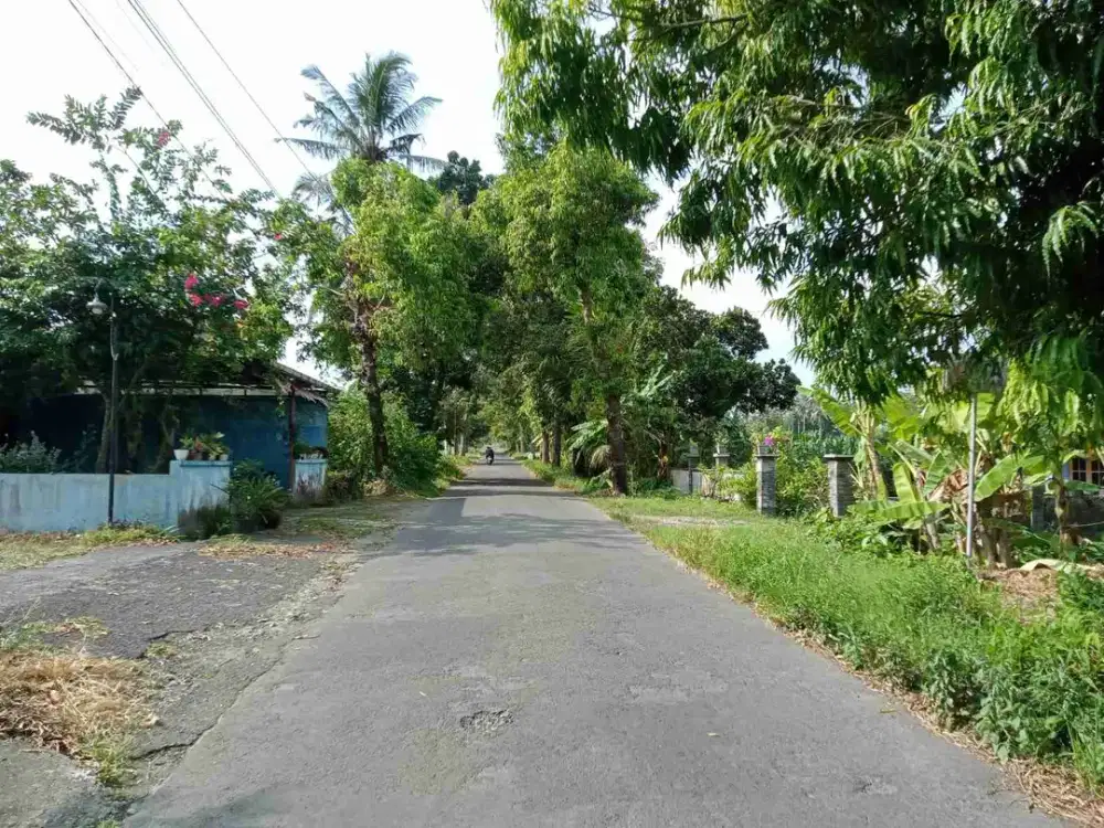 Dijual Tanah Strategis Tepi Jalan Aspal Barat PEMDA Sleman Yogyakarta