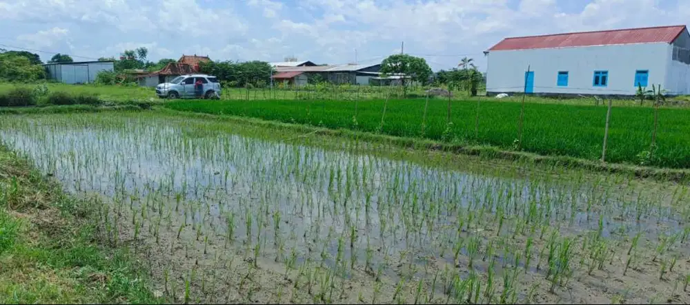 Di jual: Tanah kapling sawah/pekarangan colomadu, karanganyar