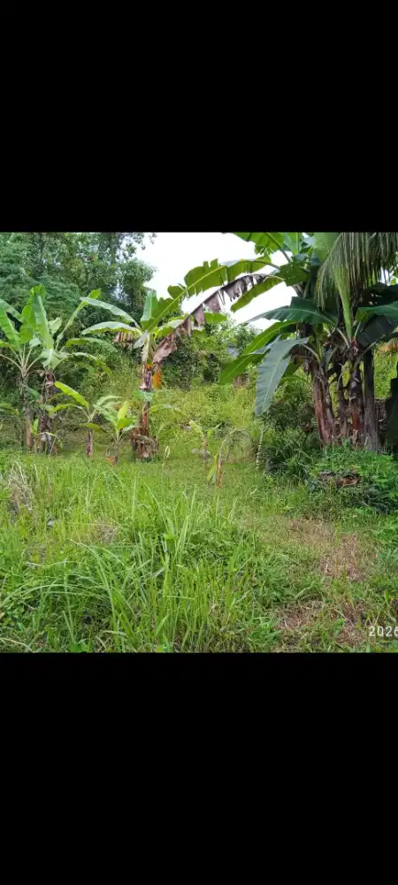 Dijual tanah murah,1,7 are di sidan gianyar bali ubud