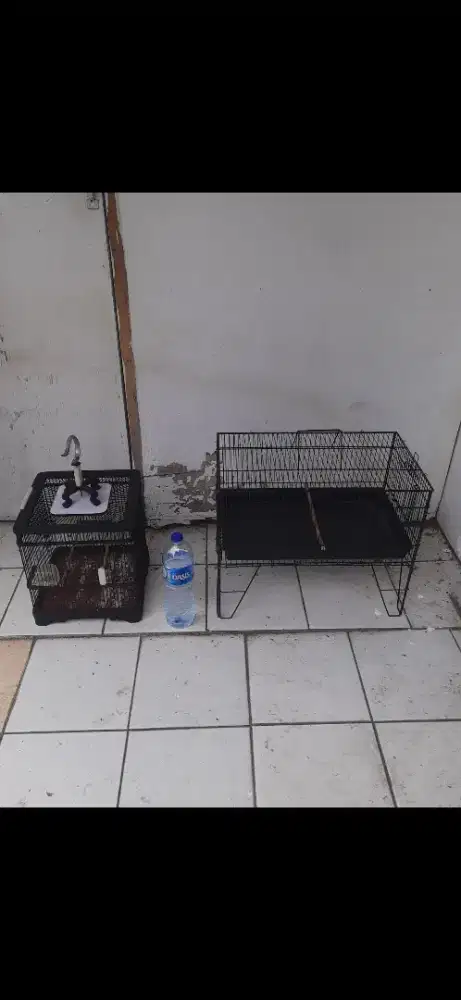 Kandang + branjangan