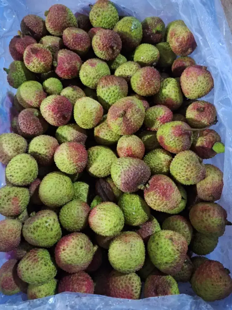 Buah leci madu manisss kemucur