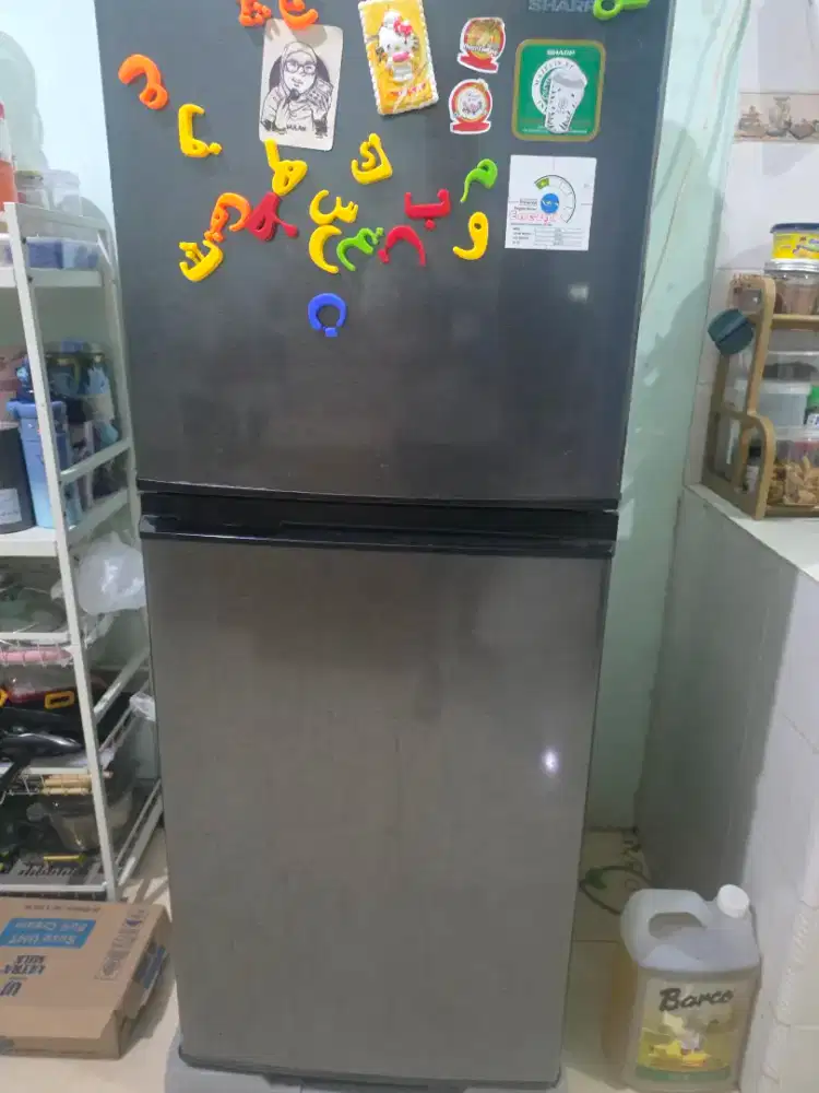 Kulkas 2 Pintu Sharp 205 Liter Sensasional