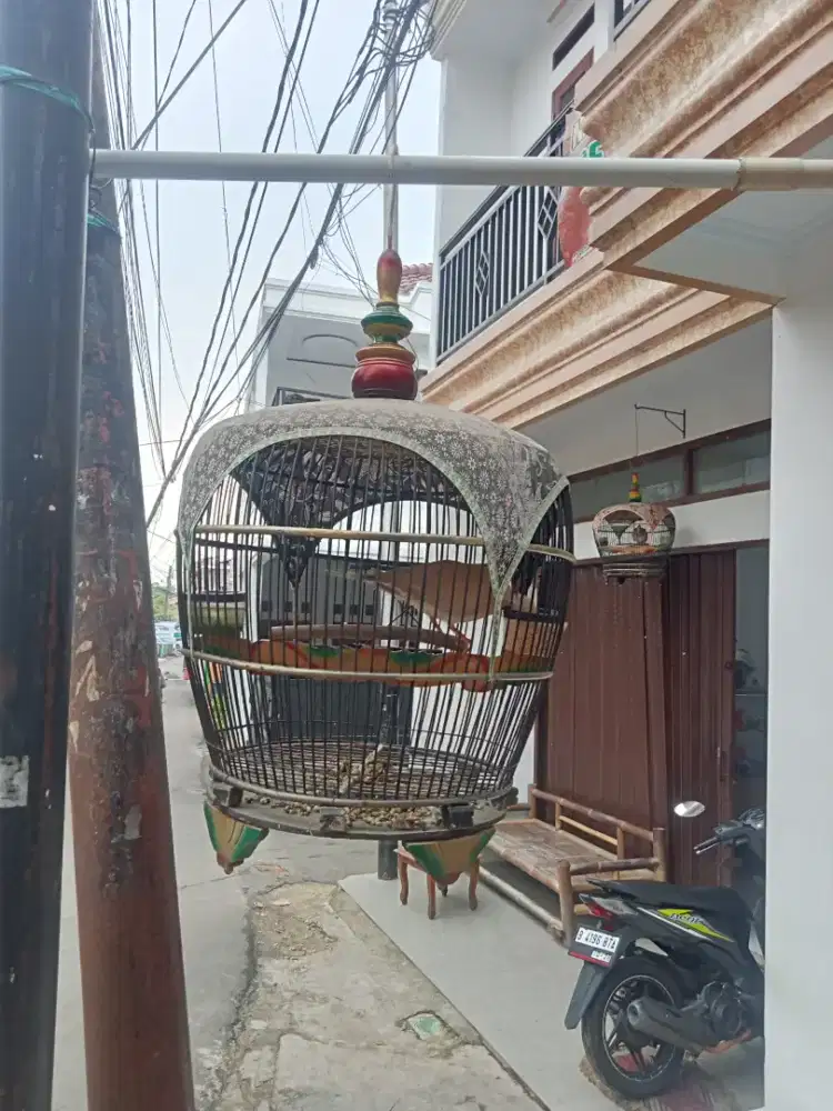 Puter lokal  sama kandangnya