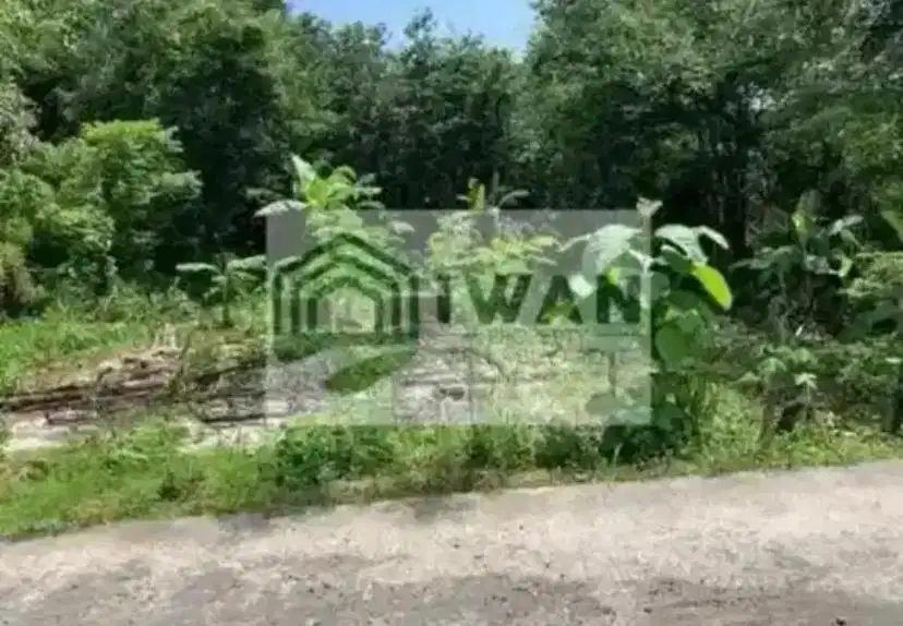 Tanah Pekarangan Luas & Murah Belakang Dapat View Sawah