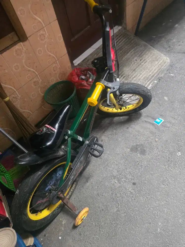 Sepeda R16 roda 4 bisa dilepas