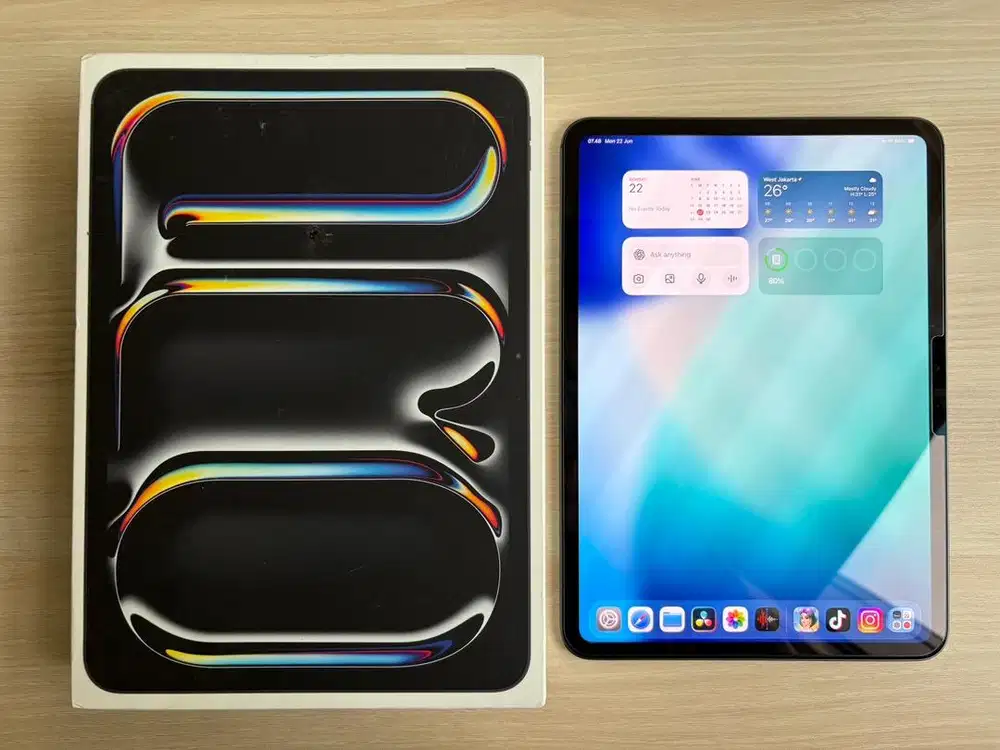 Apple Ipad Pro M4 11 Inch 256GB Mulusss