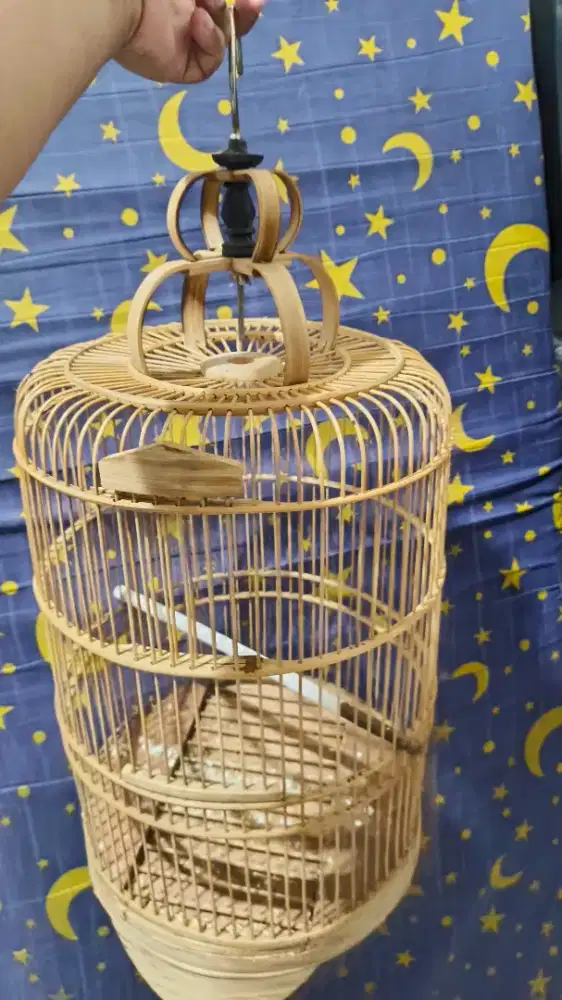 Kandang burung bulat buat pleci kenari crukcuk