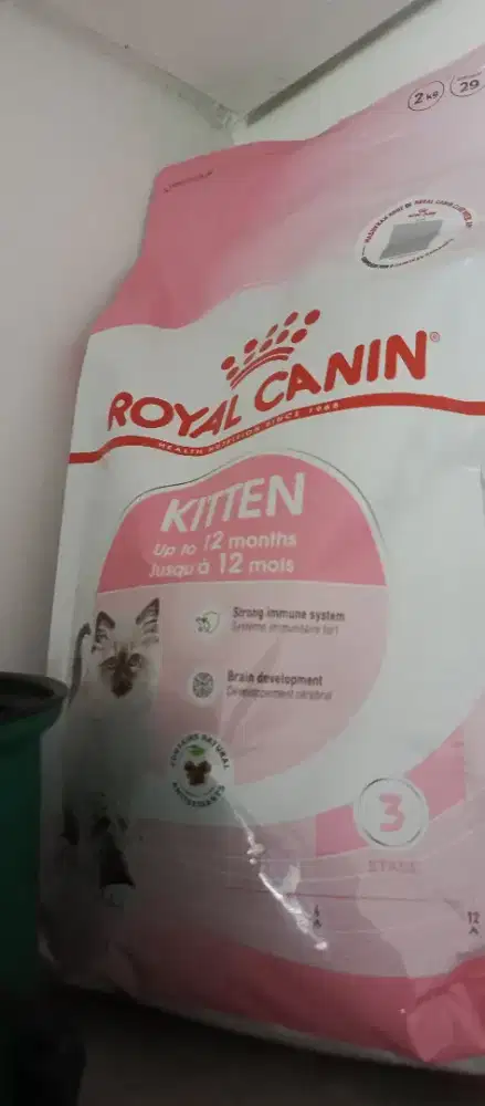 Royal Canin Kitten (Sisa 80%)