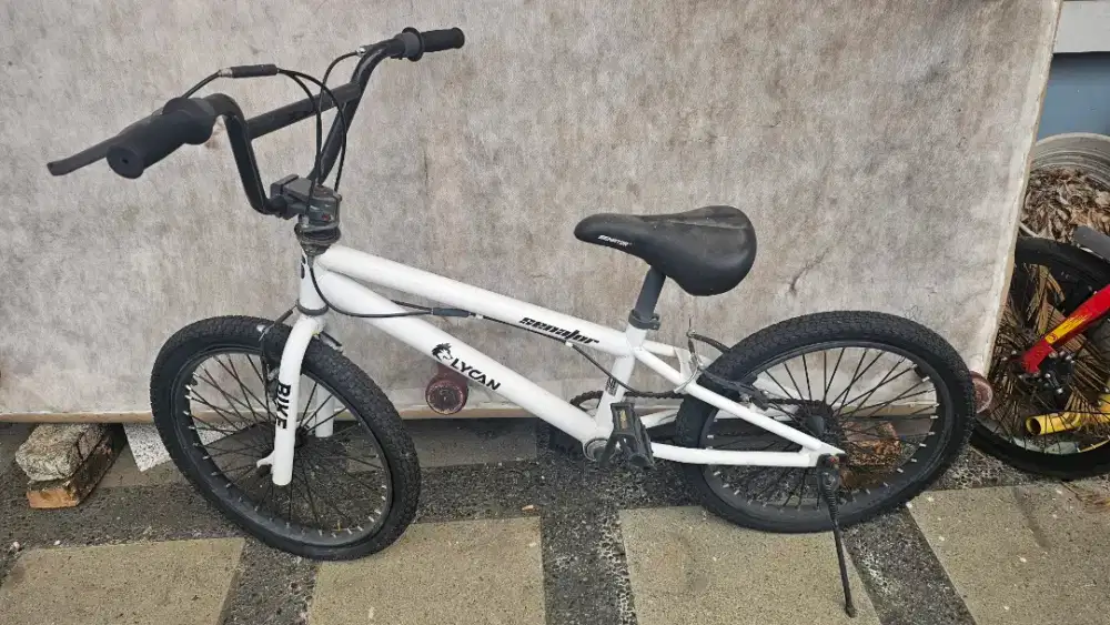 Jual sepeda bmx anak seken