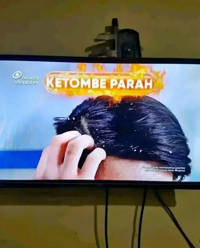 tcl 24inc analog harus pake setbox
