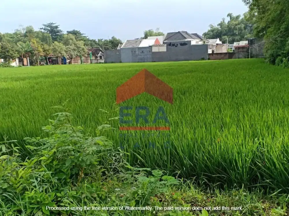 Dijual Tanah di Jalan Citandui Ciliwung Nganjuk