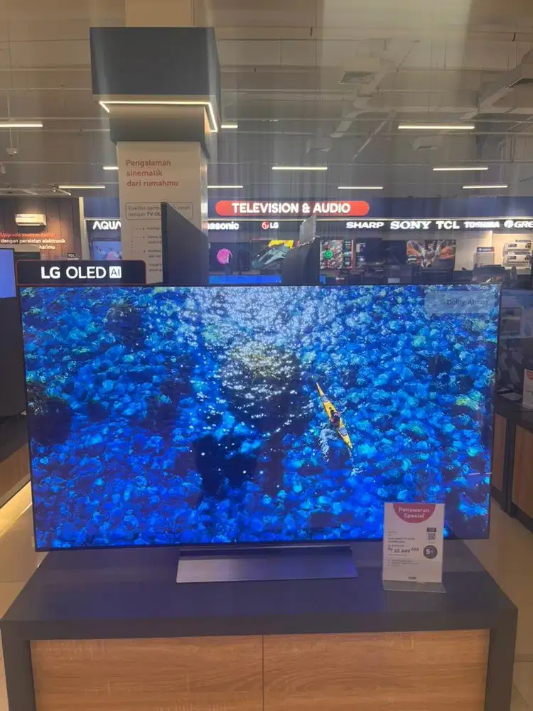 LG Oled Tv 55in
