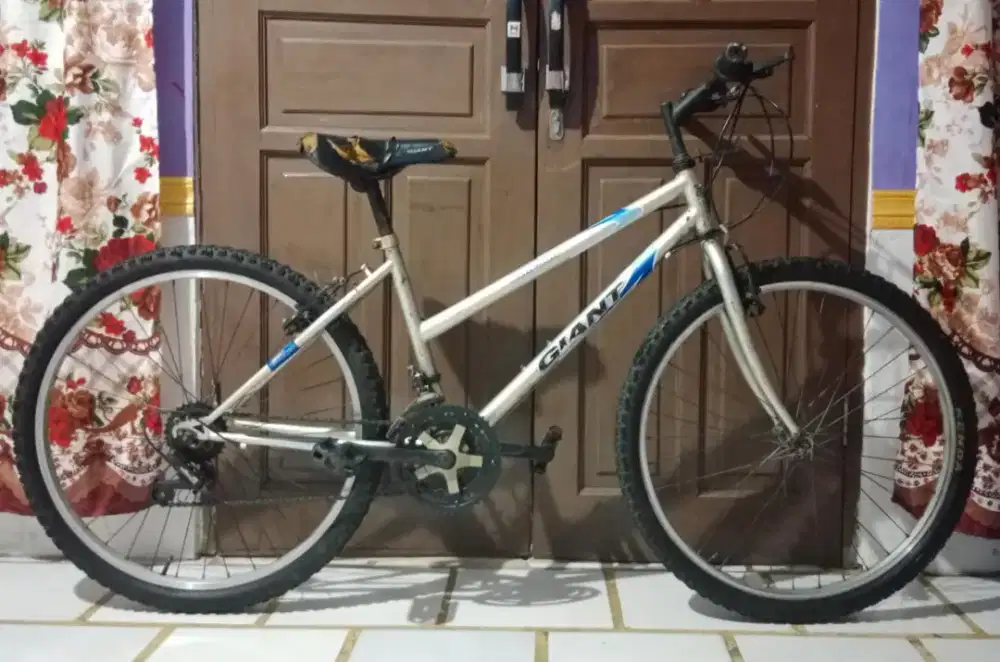 Sepeda GIANT MTB Vintage Kalcer Culture