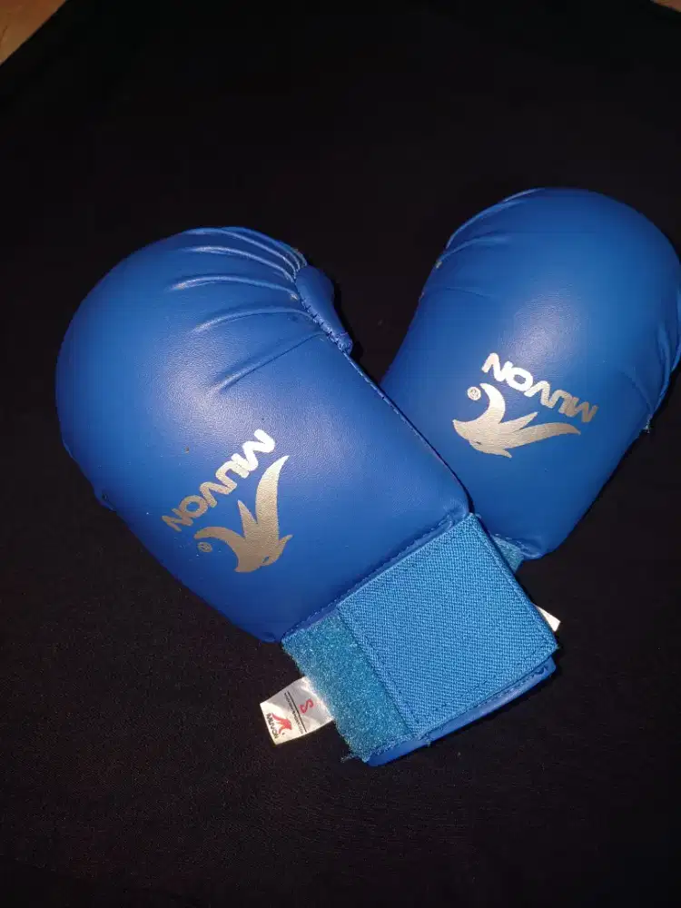 HANDPRO KARATE MUVON