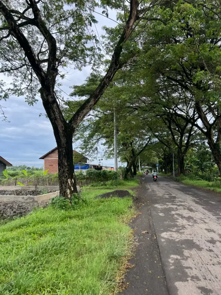 Tanah kavling murah pangkah dekat jalan raya