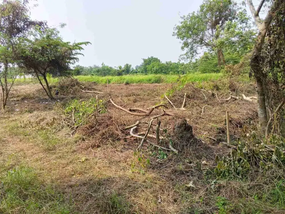 dijual tanah rajeg tangerang