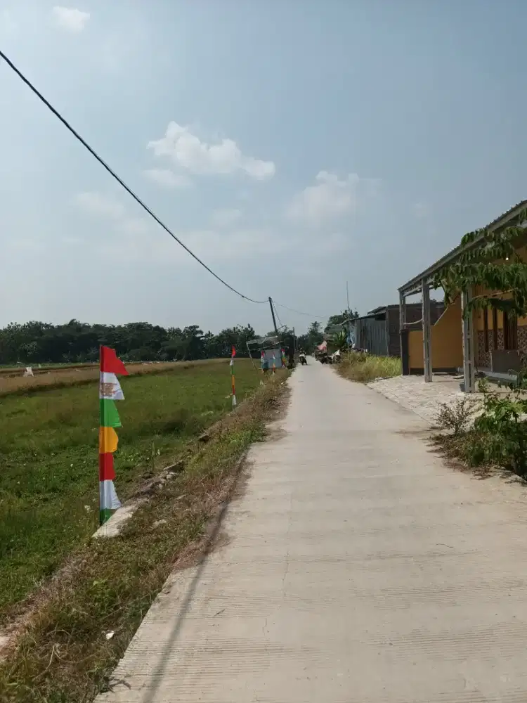Kavling murah Desa Lebeteng Tarub depan jalan desa