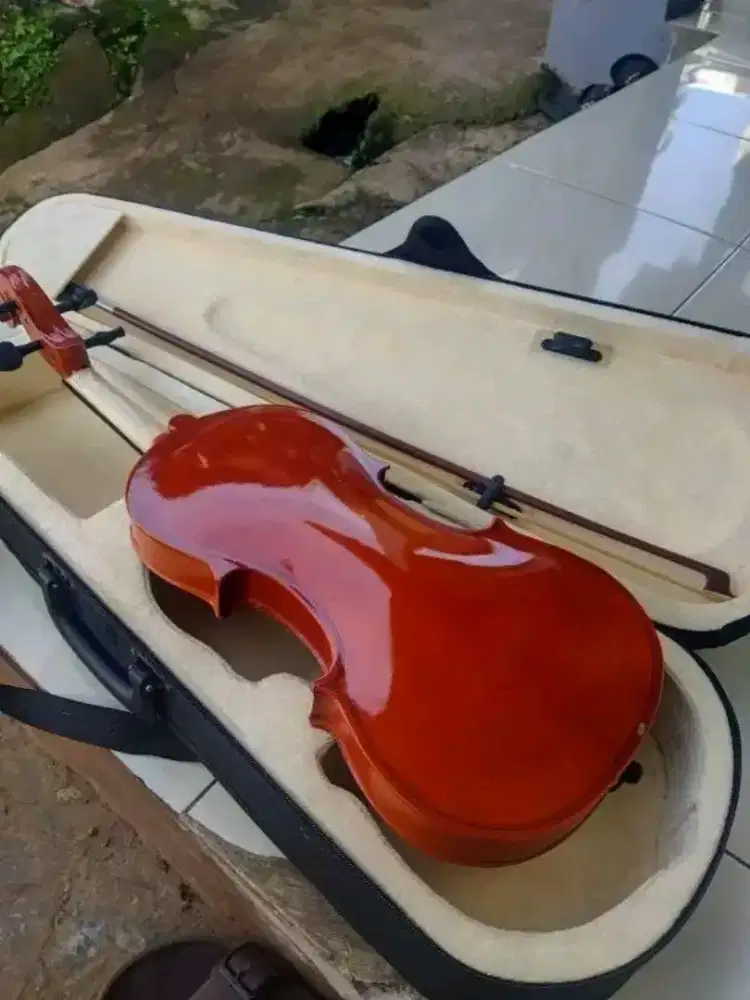 Biola mulus 3/4 cowboy