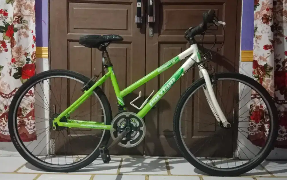 Sepeda POLYGON MTB Vintage Kalcer Culture