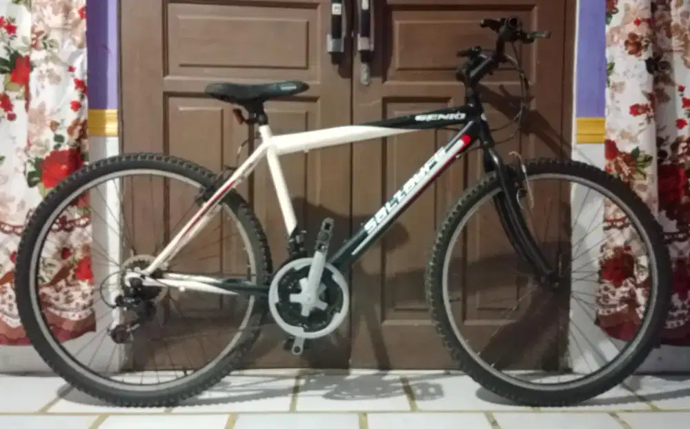 Sepeda MTB GENIO