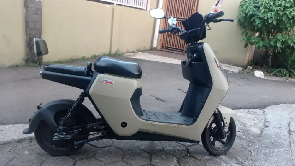 Selis uwinfly d60