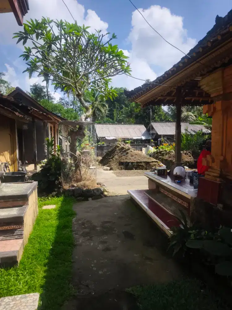 Dicari tukang buat rumah minimalis