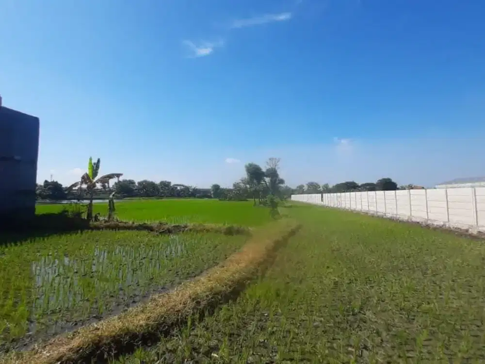 DIJUAL TANAH LOKASI BUDURAN SIDOARJO