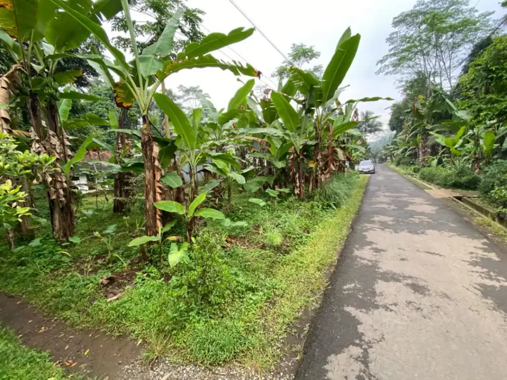 Dijual Tanah Luas 237m2 / 16.9 ubin
SHM Milik Pribadi Tanpa Perantara