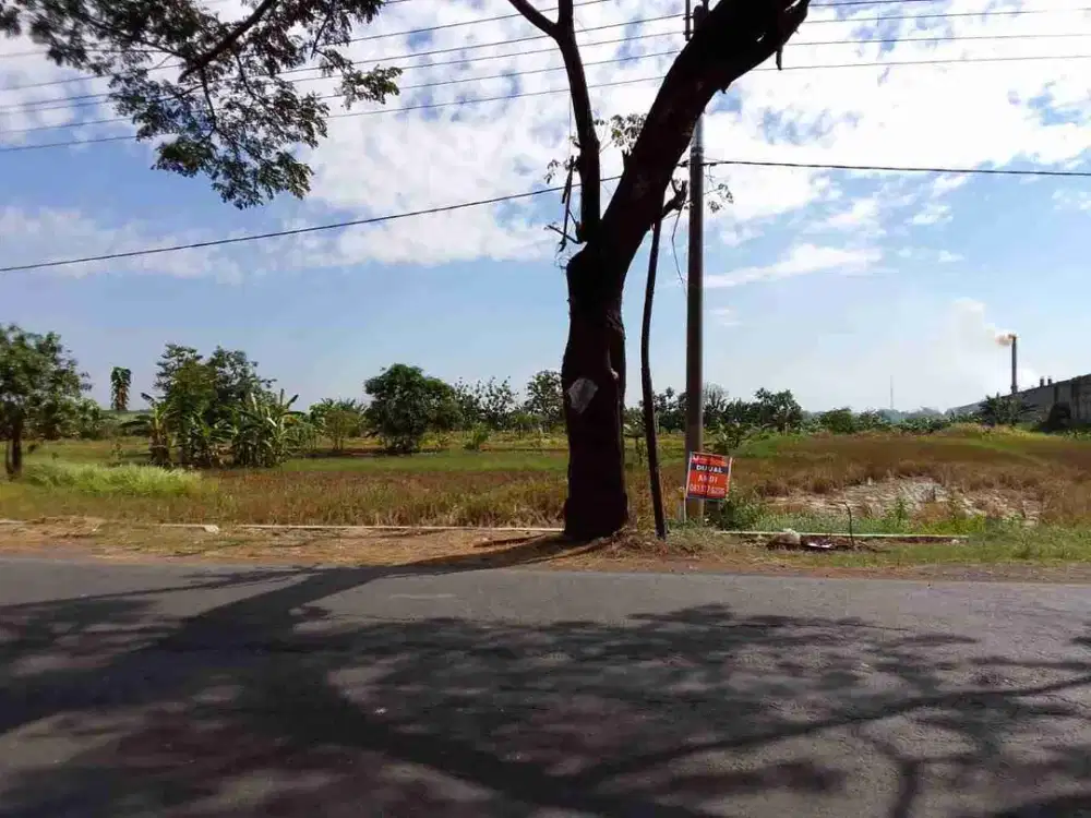 *Dijual Lahan KEDAMEAN GRESIK*
Jln Raya Mojo Tengah (Nol Jalan Profinsi)
Di sekitar sudah ada Pabrik2..