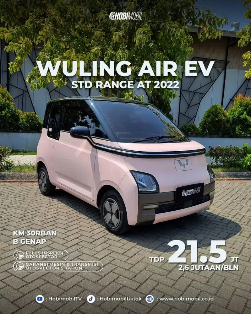 Air EV STD Range AT 2022