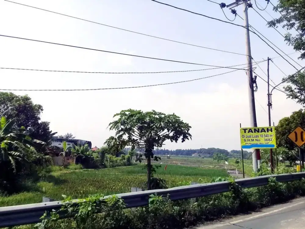Dijual Tanah Darat Kelas V Raya Jl Anggrek Kota Probolinggo
