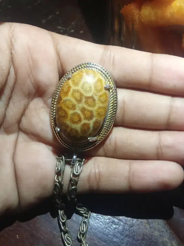 LELANG: Fosil Koral Teratai Bongkahan Dipoles 7 cm - Motif Jelas