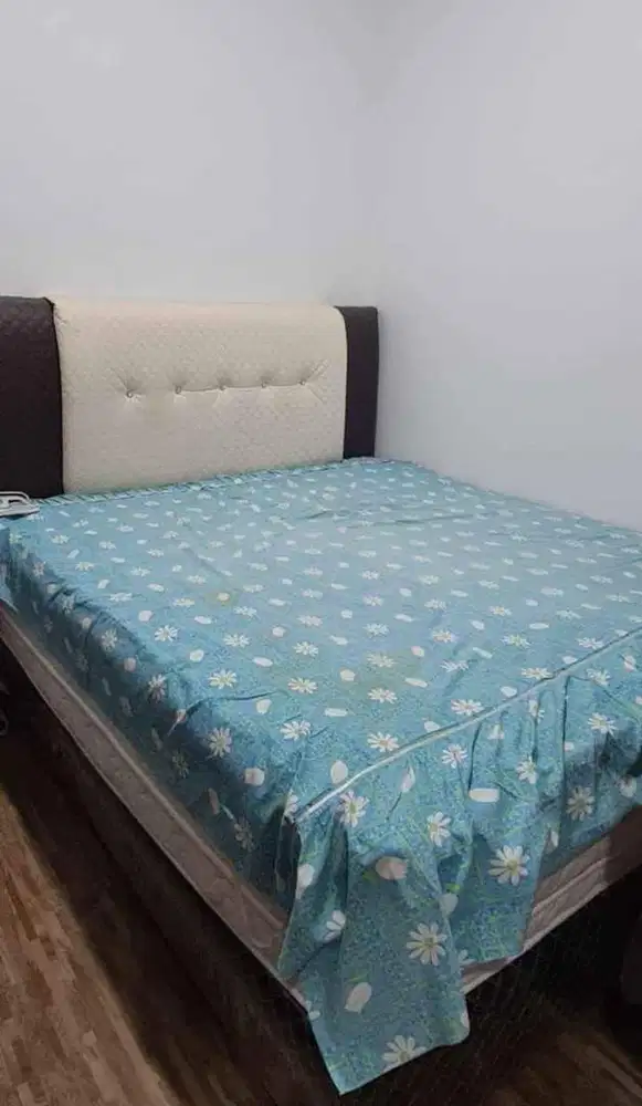 Springbed + Dipan