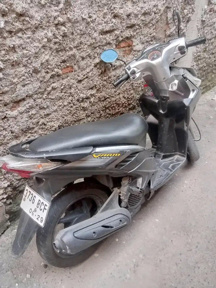 Vario techno 2010