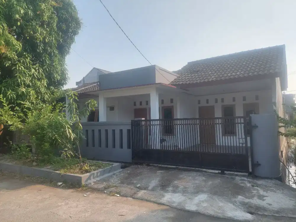 Rumah dikontrakan pertahun